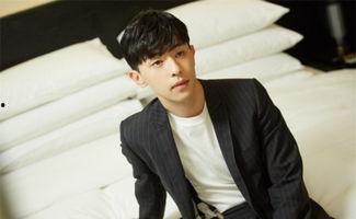 娱乐圈单眼皮的男星,娱乐圈中的独特风采