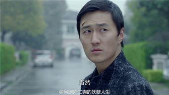 陈二狗真实背景,从底层奋斗到成功的企业家传奇