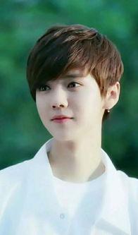 崔璨的家庭背景,出身名门，传承家族荣耀的璀璨之星