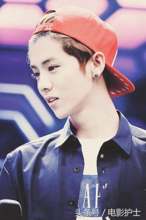 鹿晗娱乐圈,娱乐圈的青春偶像与音乐才子