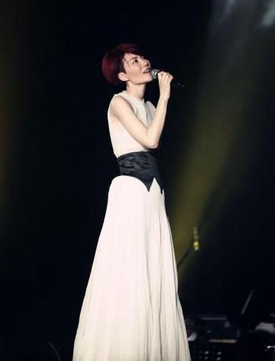 王菲张柏芝家庭背景,家庭背景下的明星之路