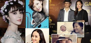 娱乐圈花花指的是谁,揭秘“花花”背后的神秘人物